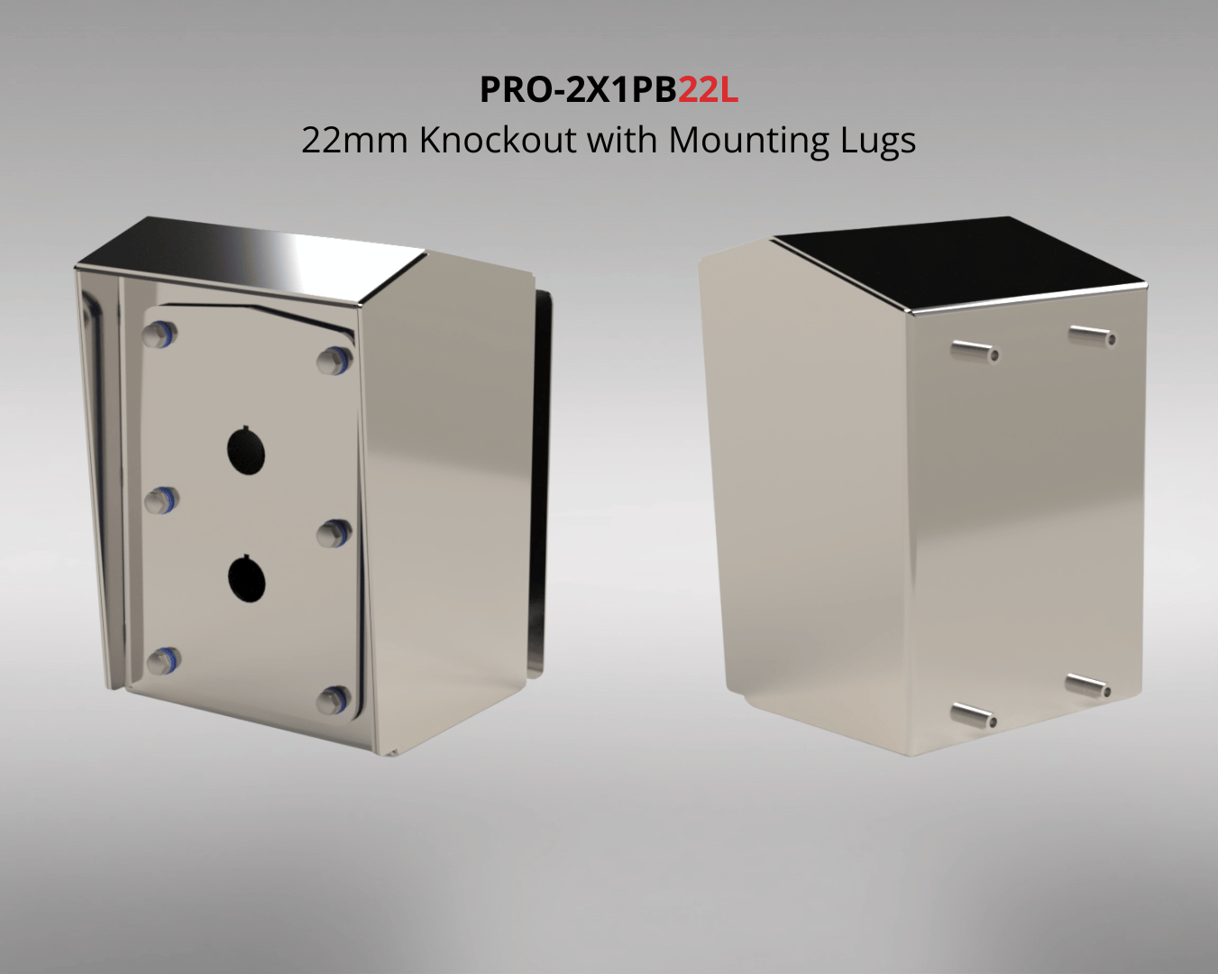 PRO-2X1PBXXX