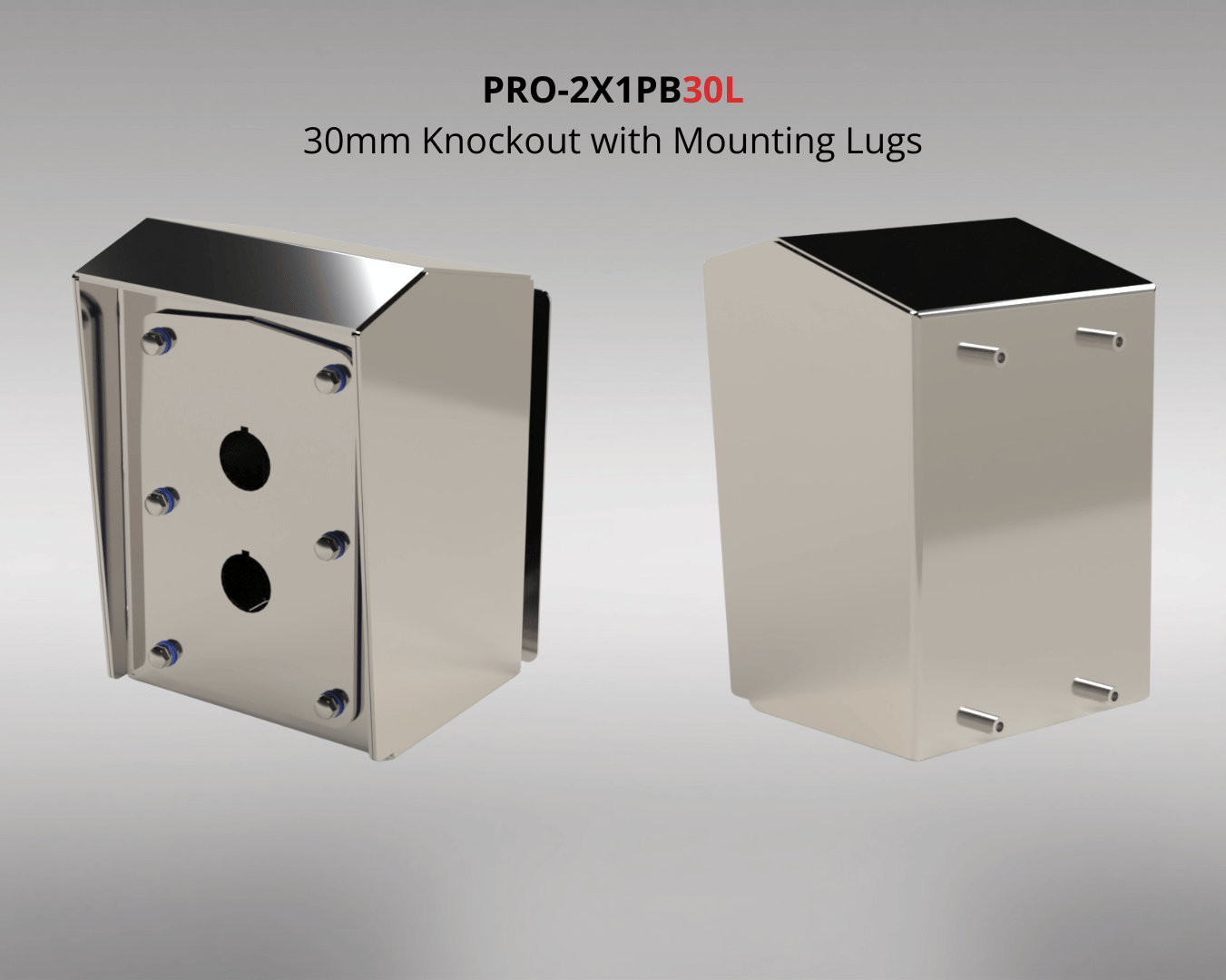 PRO-2X1PBXXX